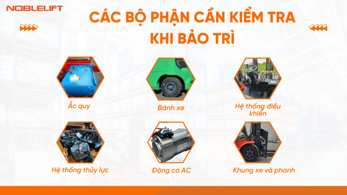 Các bộ phận cần kiểm tra khi bảo trì xe nâng điện