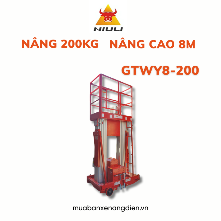 Thang nâng trục đôi Maihui 8m